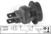 ERA 330196 Temperature Switch, radiator fan